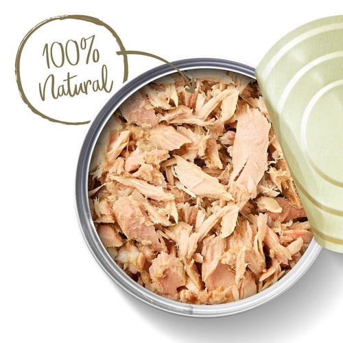 أبلاوز كرتون 24 معلبات طعام رطب للقطط -ابلاوز فيلي...