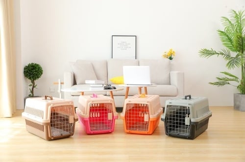 قفص حجم متوسط للقطط