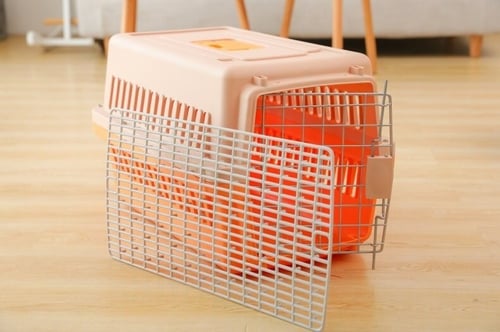 قفص حجم متوسط للقطط