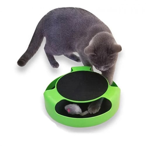 لعبة قطط مع فأر للصيد