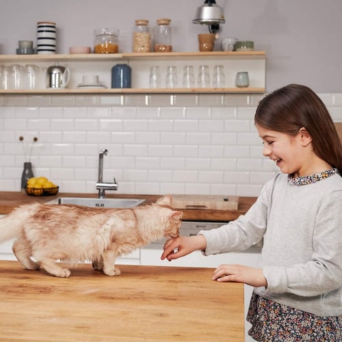 طعم رطب للقطط مع لحم العجل - 3* 21 غرام