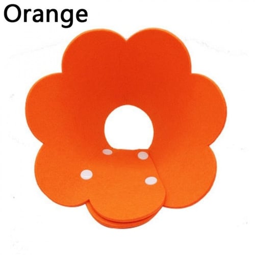 طوق للقطط على شكل زهور مخروطي الشكل