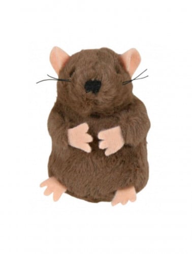 لعبة الفأر المزعج