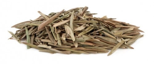 ورق الزيتون