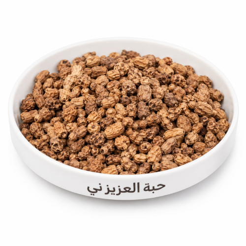 حب العزيز ني