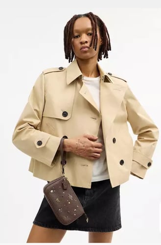 كوتش نوليتا