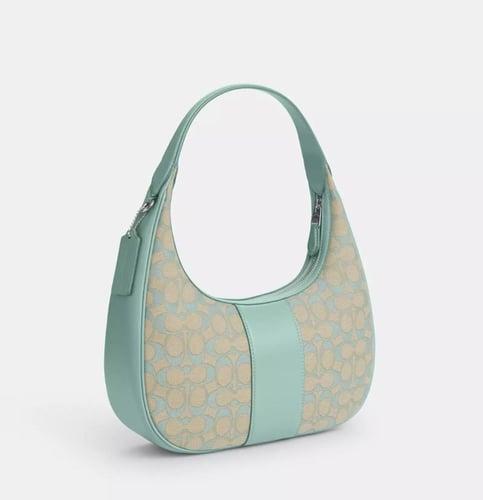 شولدر باق كوتش