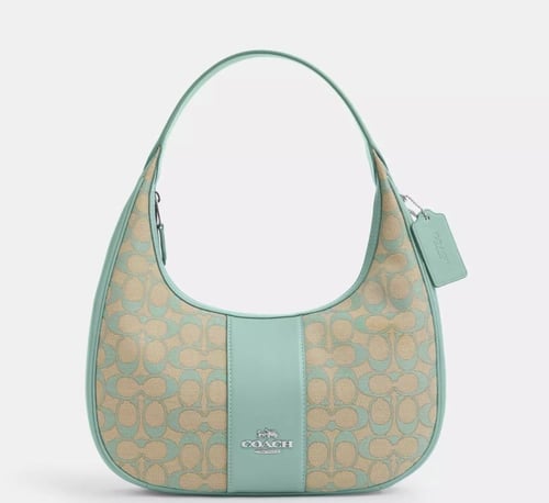 شولدر باق كوتش