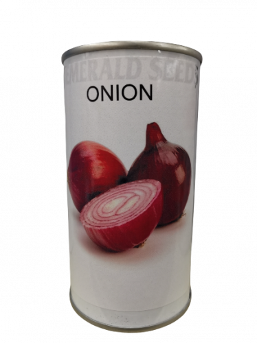 بذور بصل أمريكي