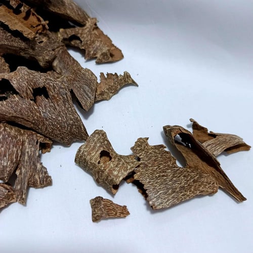 عود تراد طبيعي دبل سوبر