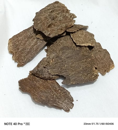 هندي چار دبل سوبر