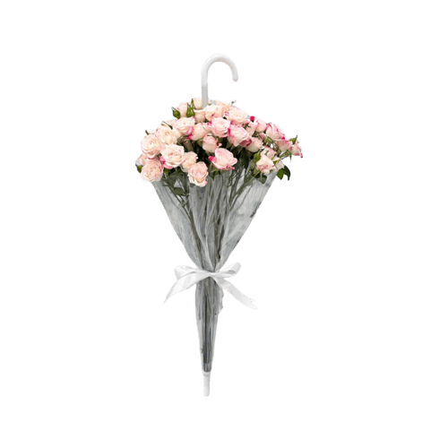 باقة المظلة بيبي وردي baqat almizala bebe benk