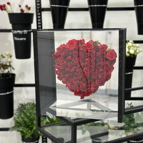 الحب الكبير بييبي روز Big Love Baby Rose