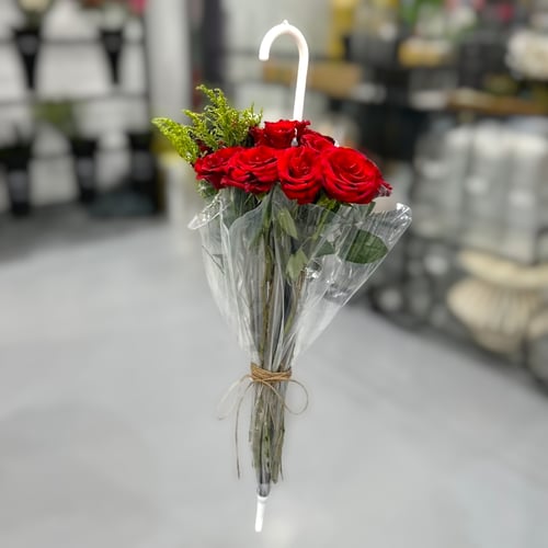 باقة المظلة احمر