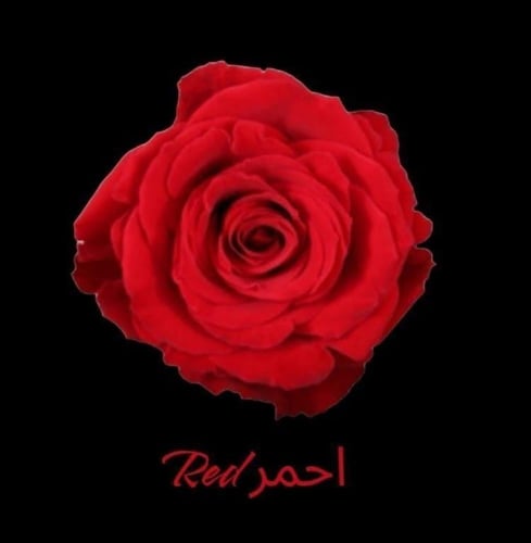 باقة قاعدة 25وردة Base bouquet of 25 roses