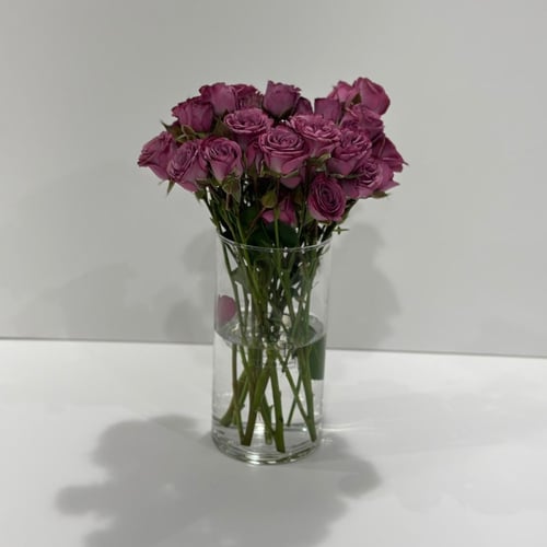 جميلة beautiful