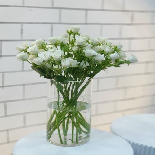 شوق بيبي جوري shawq byby jwri