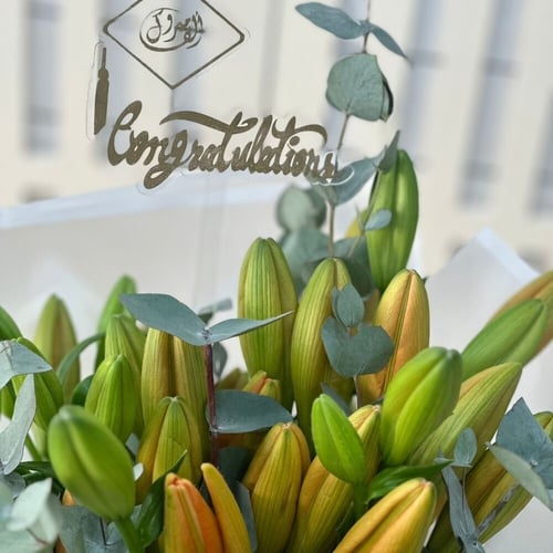 المميزة Featured