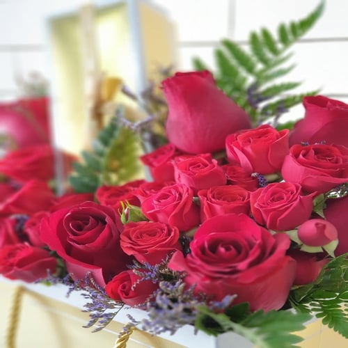 بستاني مع ورد احمر bustani with red roses