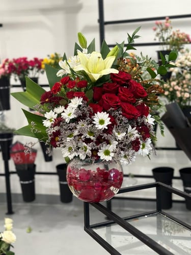 فازة المجنونة Vazza Crazy