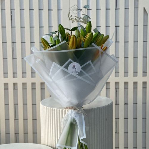 المميزة Featured