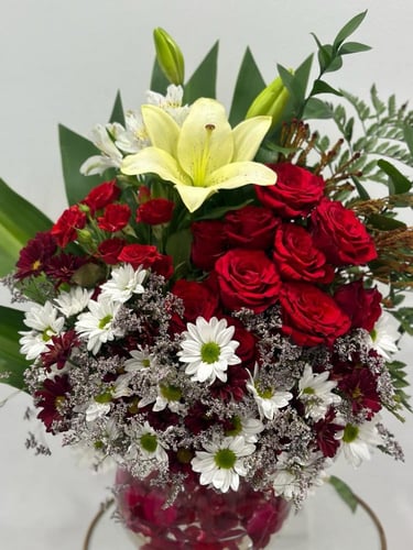 فازة المجنونة Vazza Crazy