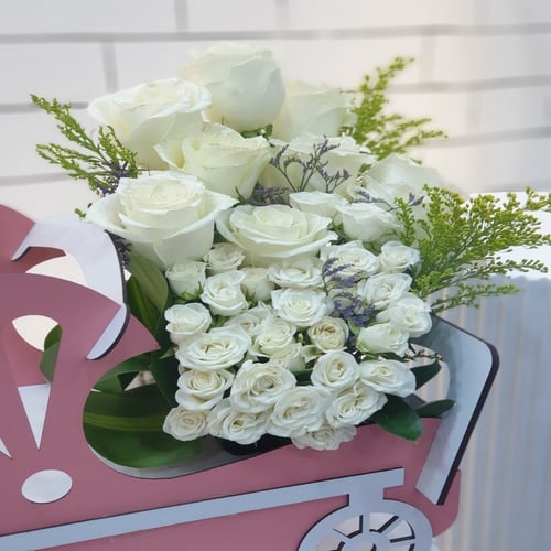 عربة مولودة A born carriage