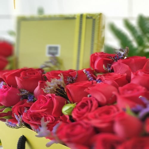 بيبي جوري مع باتش