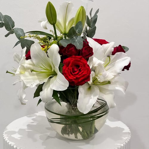 فازة جوري وليليوم Faza Jory and Lilium