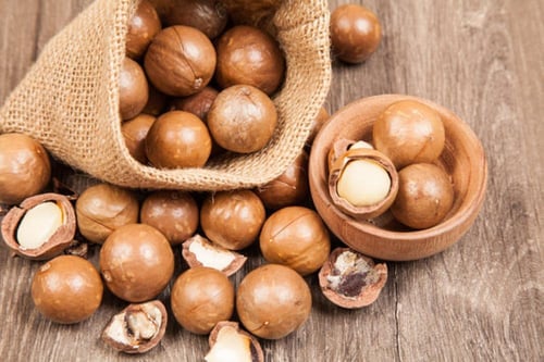 شتلات جوز مكاديميا Macadamia integrifolia