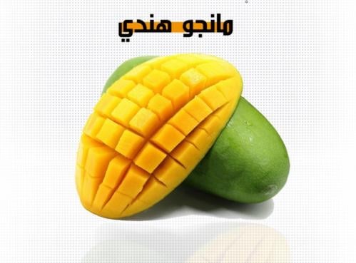 شتلات مانجو هندي خاص