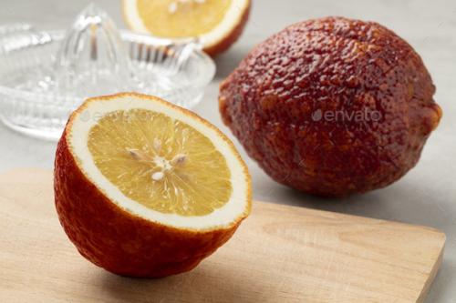 شتلات ليمون روز عمر ١٨ شهر