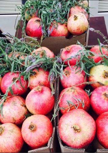 رمان مغربي احمر