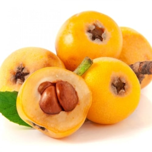 شتلات اسكدنيا البشمله مطعم