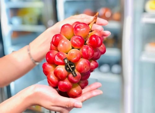 شتلات عنب قلبي