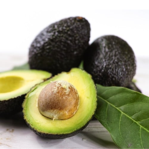 شتلات افوكادو مطعم