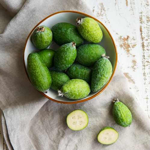 شتلات جوافة قزمي