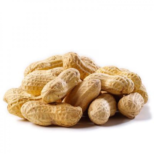 فول مالح بالقشر