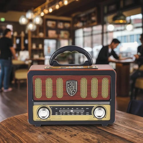 راديو DENX DX2441 بصوت HiFi وبلوتوث وراديو FM وتشغ...