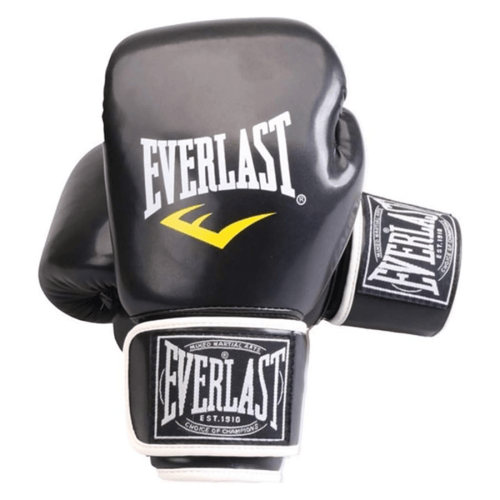 قفازات الملاكمة والفنون القتالية من EVERLAST