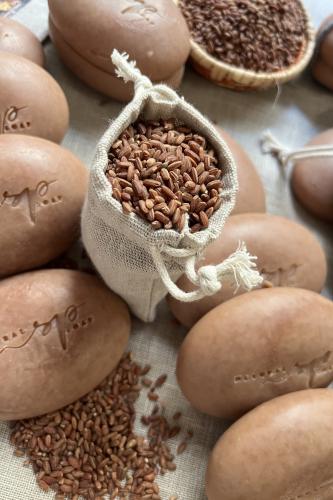 الأرز الحساوي