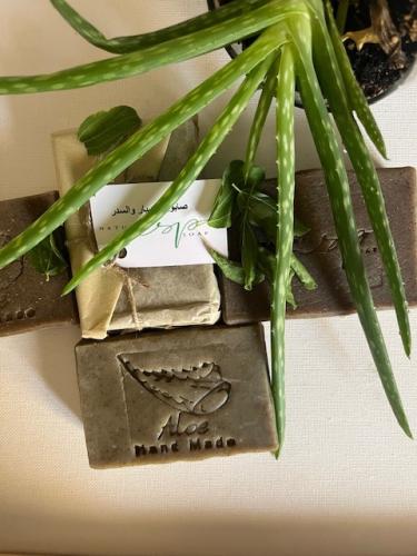 السدر والصبار