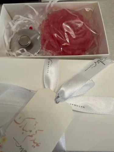 صابون مع حامل مغناطيس