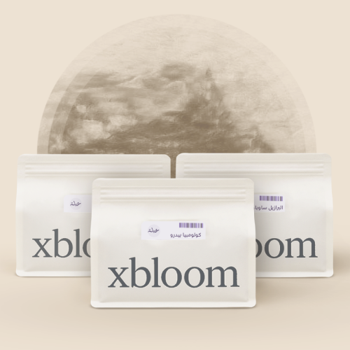 مجموعة إكسبودز عبلة