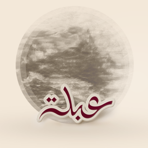 بروش مغناطيسي عبلة