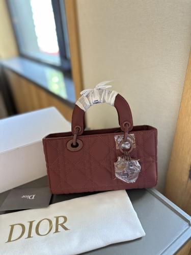 DIOR 22CM