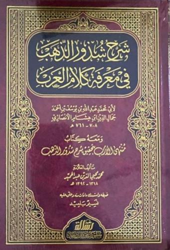 شرح شذور الذهب في معرفة كلام العرب