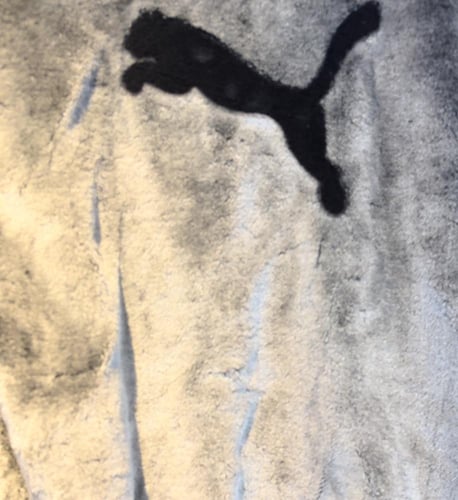 Denim Tears “Cotton Wreath puma” Hoodi