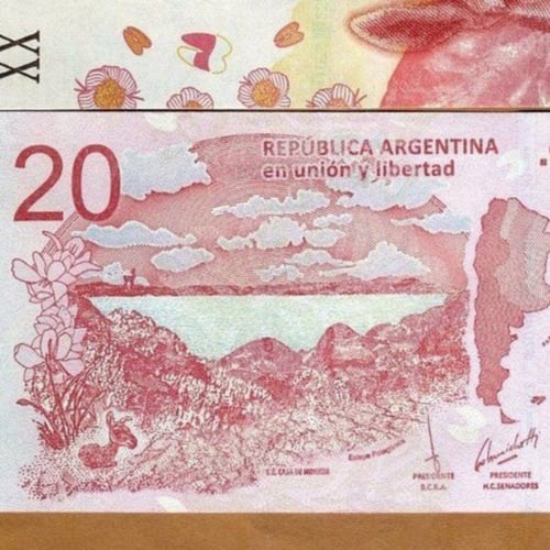 الارجنتين فئة 20 بيزو أنسر