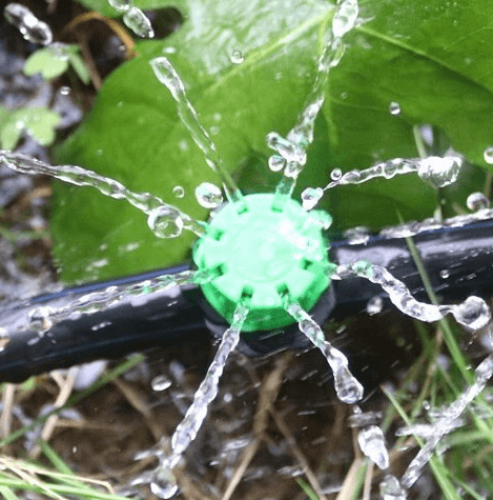 الري بالتنقيط للنباتات والأشجار